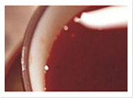 企业可以用的网站压力测试